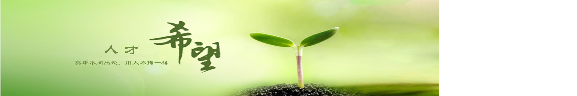 �˲�����